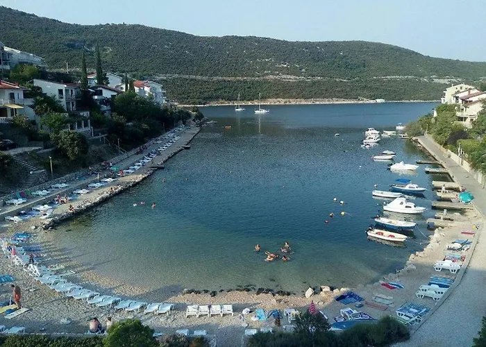 Ami - M Neum